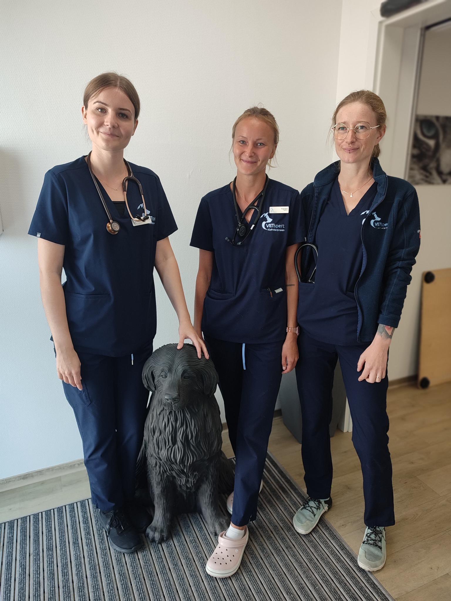 Wir begüssen drei Tierärtinnen mit Schwerpunkt Ultraschalldiagnostik im Team