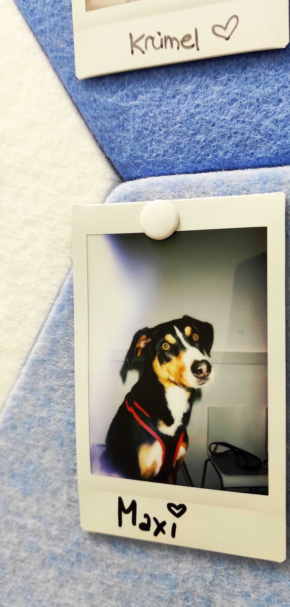 Foto Image F L Arnold