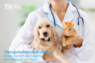 Tierärztin hält Hundwelpen, Tiersprechstunde Online lädt Sie ein.